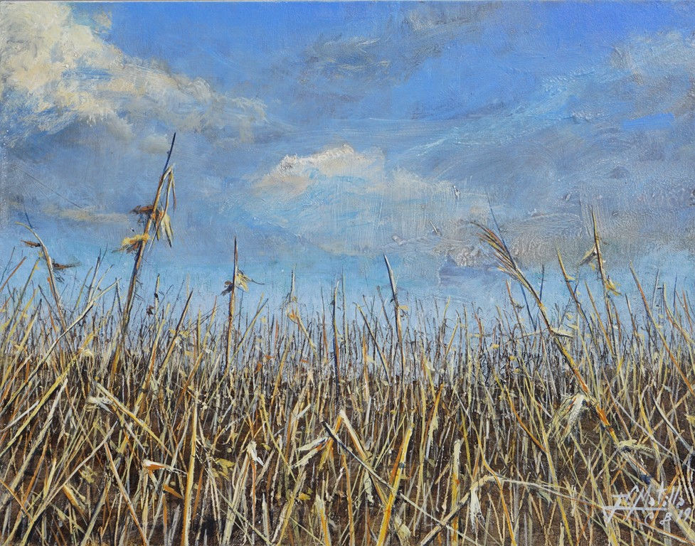 19x24_maices