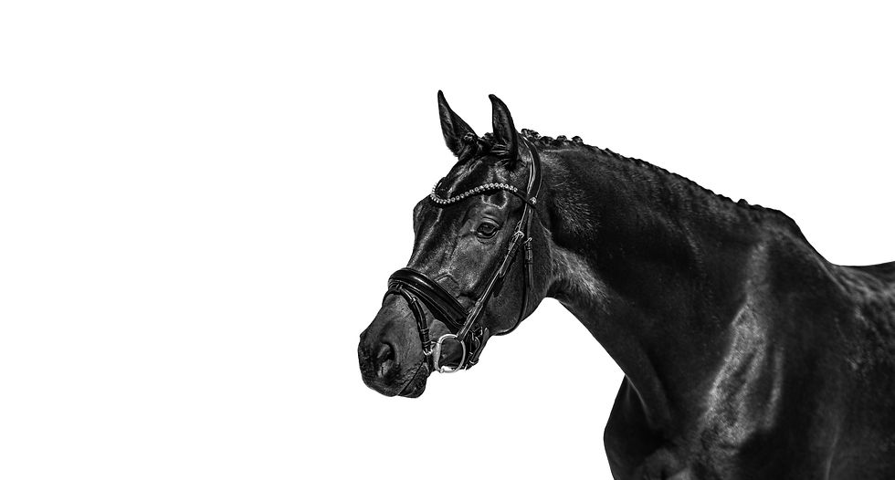 _MG_4666-Editar-10.jpg