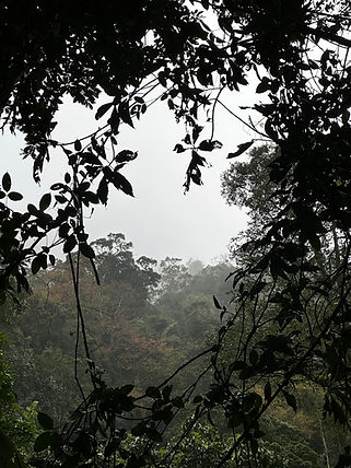 IMG_9819.JPEG
