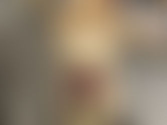 A light colored bearded retriever wearing a purple harness sitting in front of a shelf of puzzles at a bookstore.