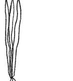 Agrupar 1_edited.png