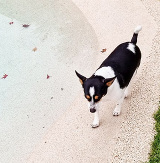 Screenshot 2025-08-02 132353.png