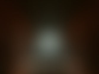 DE BIBLIOTHEEK VAN BARON ALEXANDRE - PATRICK BERNAUW