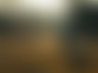 DE ROUTE DIE NIEMAND ZAG - JOHANNA BREDEVELDT