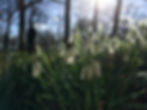 2018-02-12 13.25.28 HDR