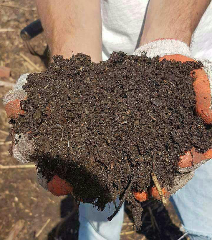 compost-happens-pic-3
