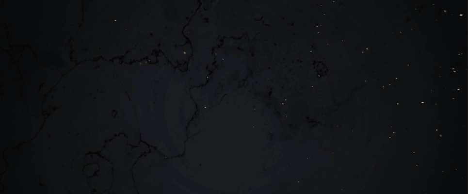 Competition-1.gif