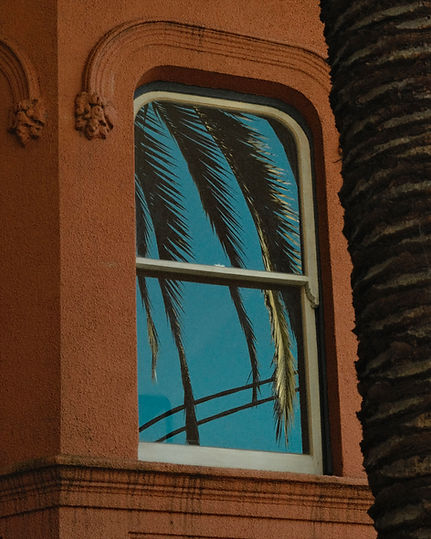 Window copy.jpg