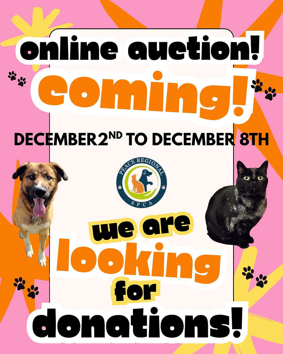 December Online auction