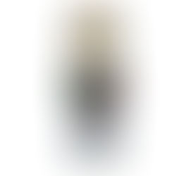 Racor Turbine Series: The Inside Story