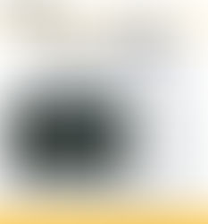 Keep it REAL: Racor Top Pick