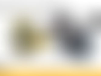 ECO-TL Air Cleaners: New Flame Retardant, UL Approved Series