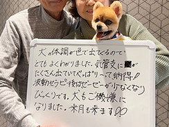 IMG_0558.jpeg