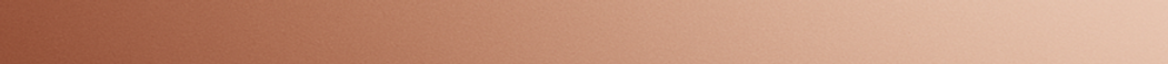 rose gold banner2_edited.png