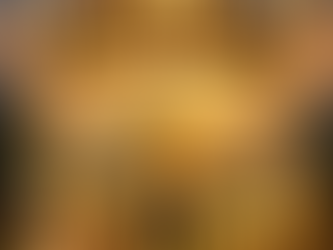 🌄 Welcome to the First Chapter of Life’s Wealth Quest