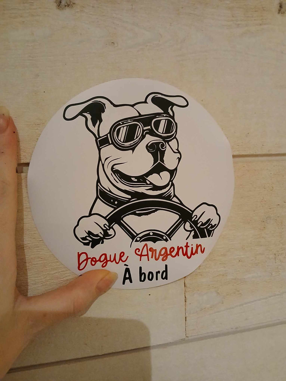 Miniature : Autocollant Dogue Argentin Pilote