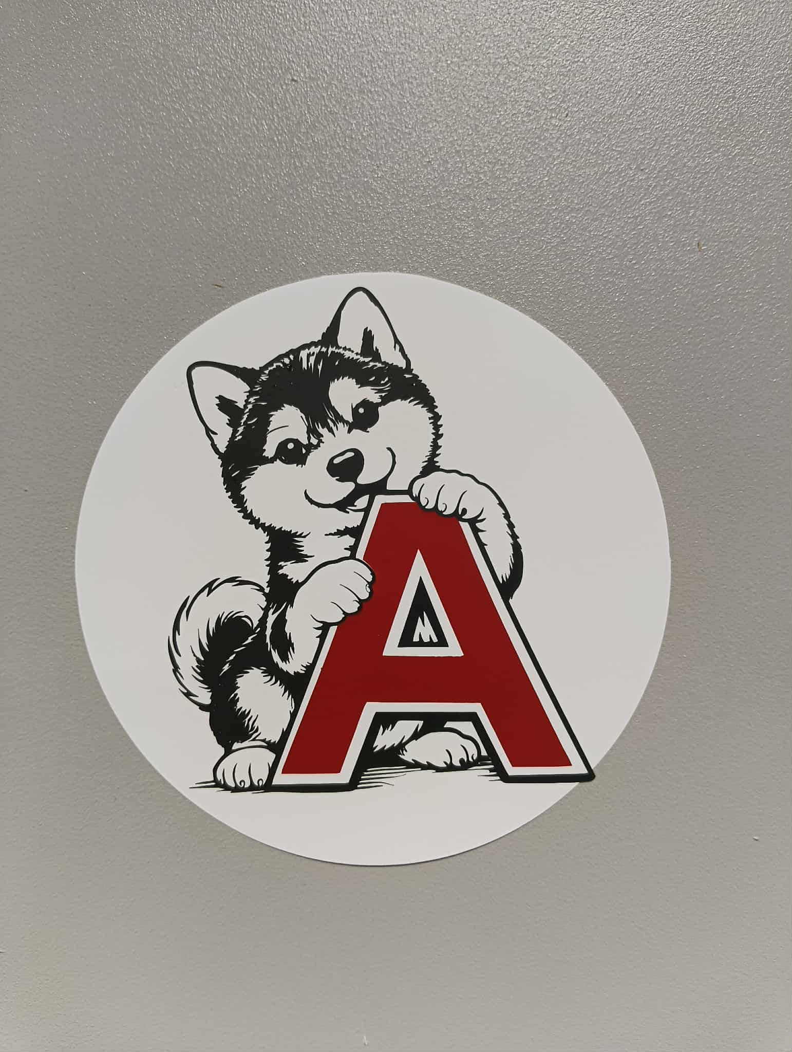Jeune conducteur Shiba inu