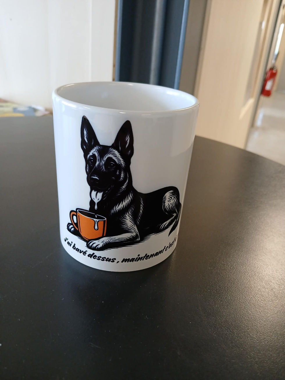 Miniature : j’ai bavé dessus, maintenant c’est à moi" – Malinois