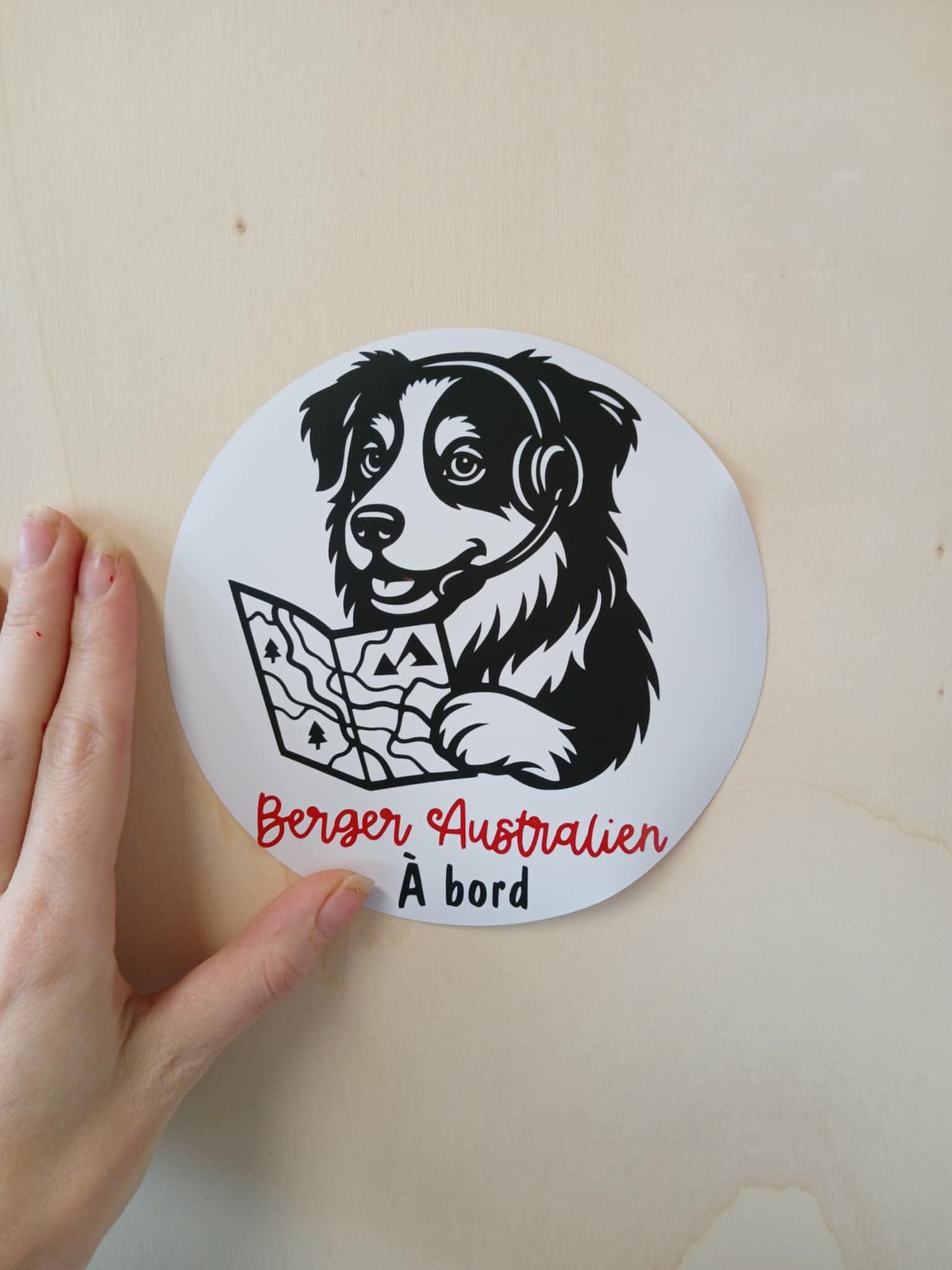 Co-pilote officiel à bord; berger australien