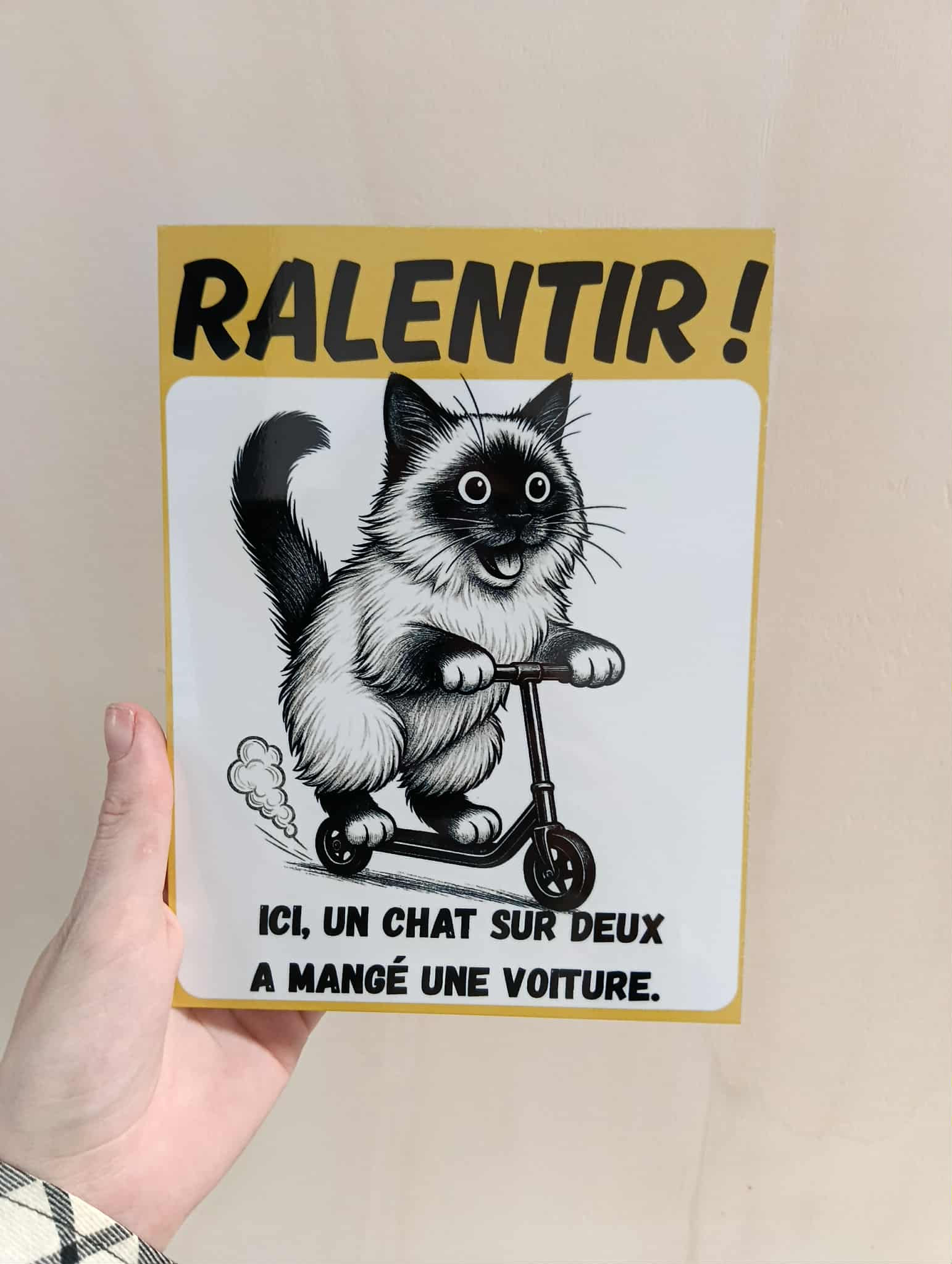 🛑 Panneau humour “Ralentir – Chat Sacré de Birmanie” 15×20 cm