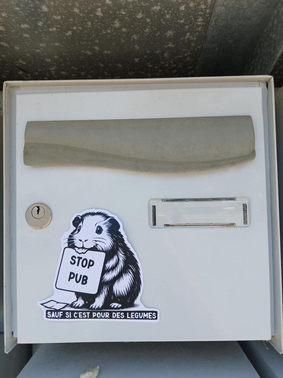 Miniature : Autocollant Stop Pub Cochon d'inde