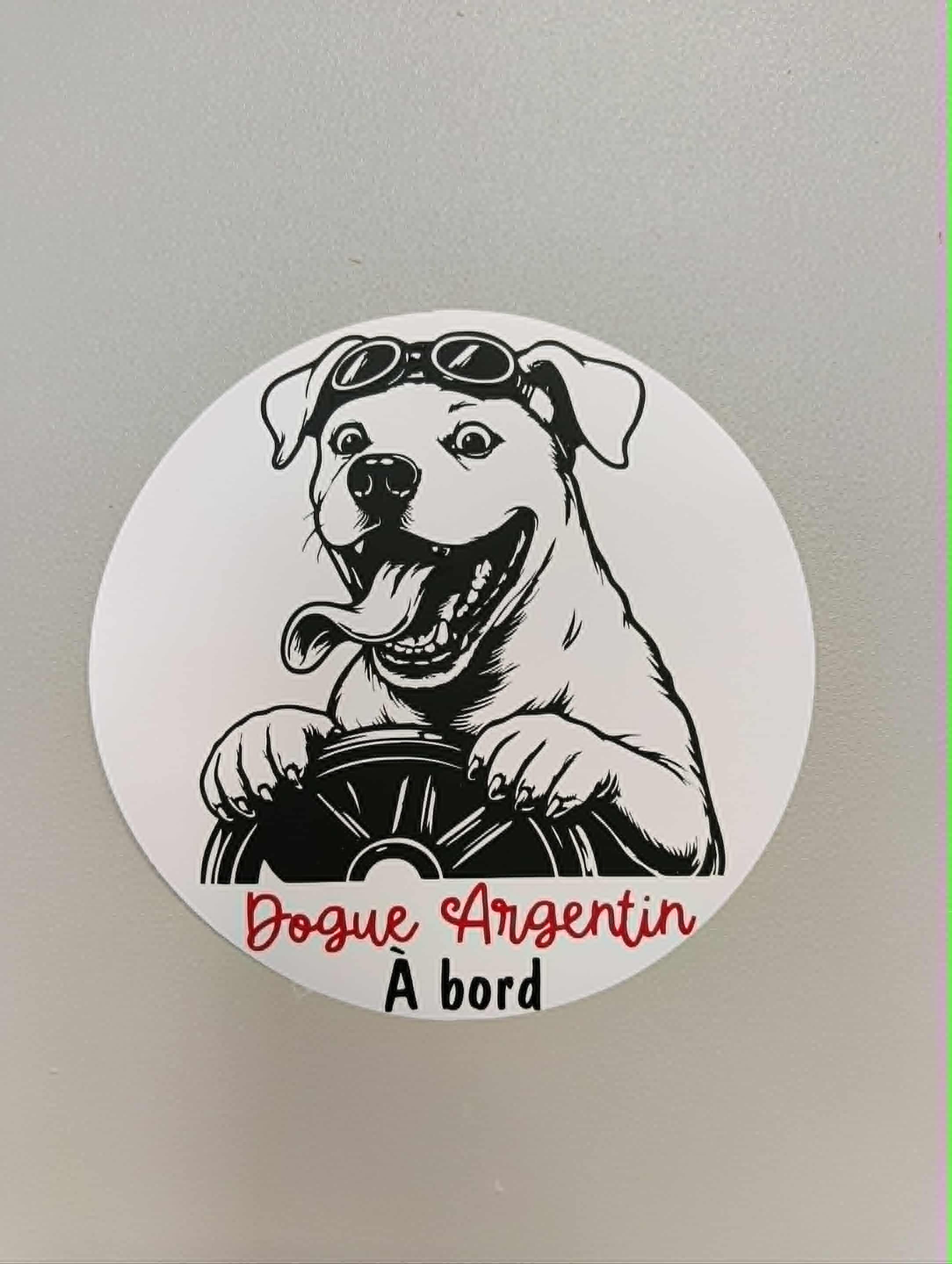 Autocollant : Dogue Argentin pilote fou