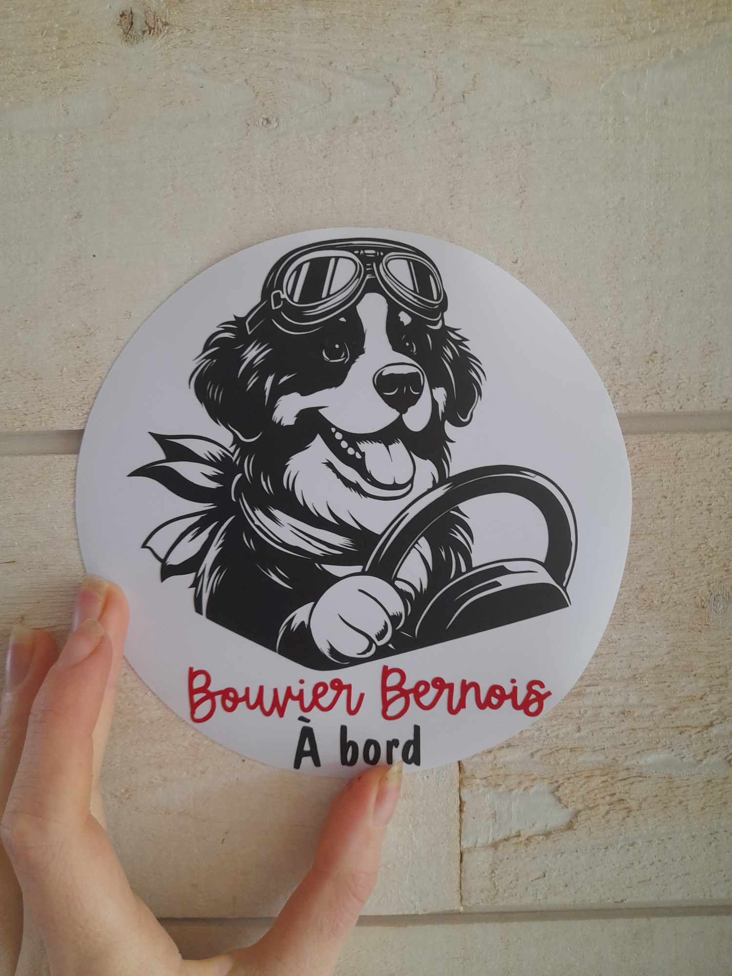 Autocollant Bouvier bernois pilote