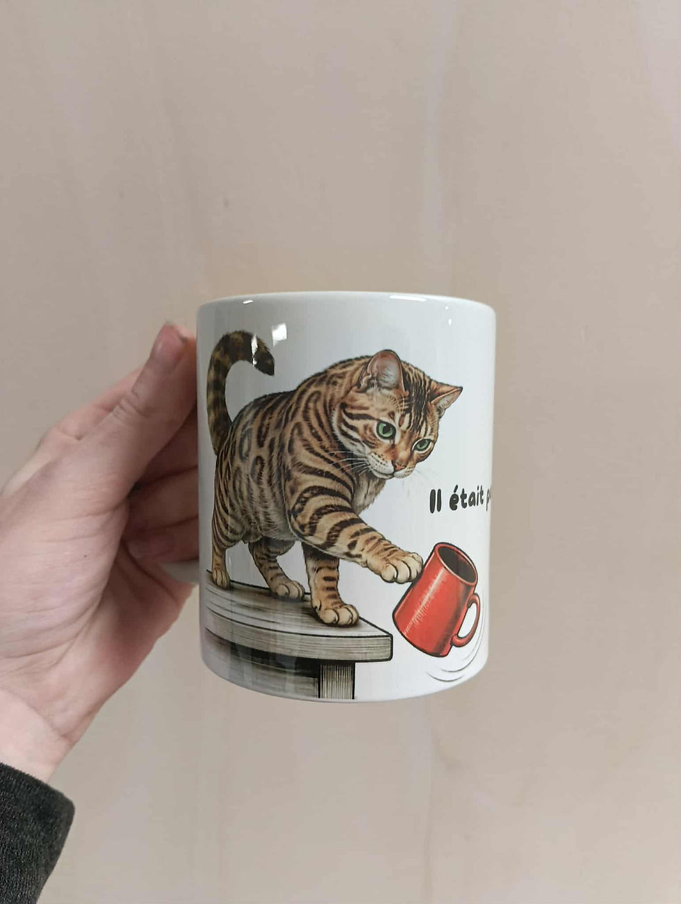 Miniature : Mug chat Bengal humour  "c'était pas rangé"