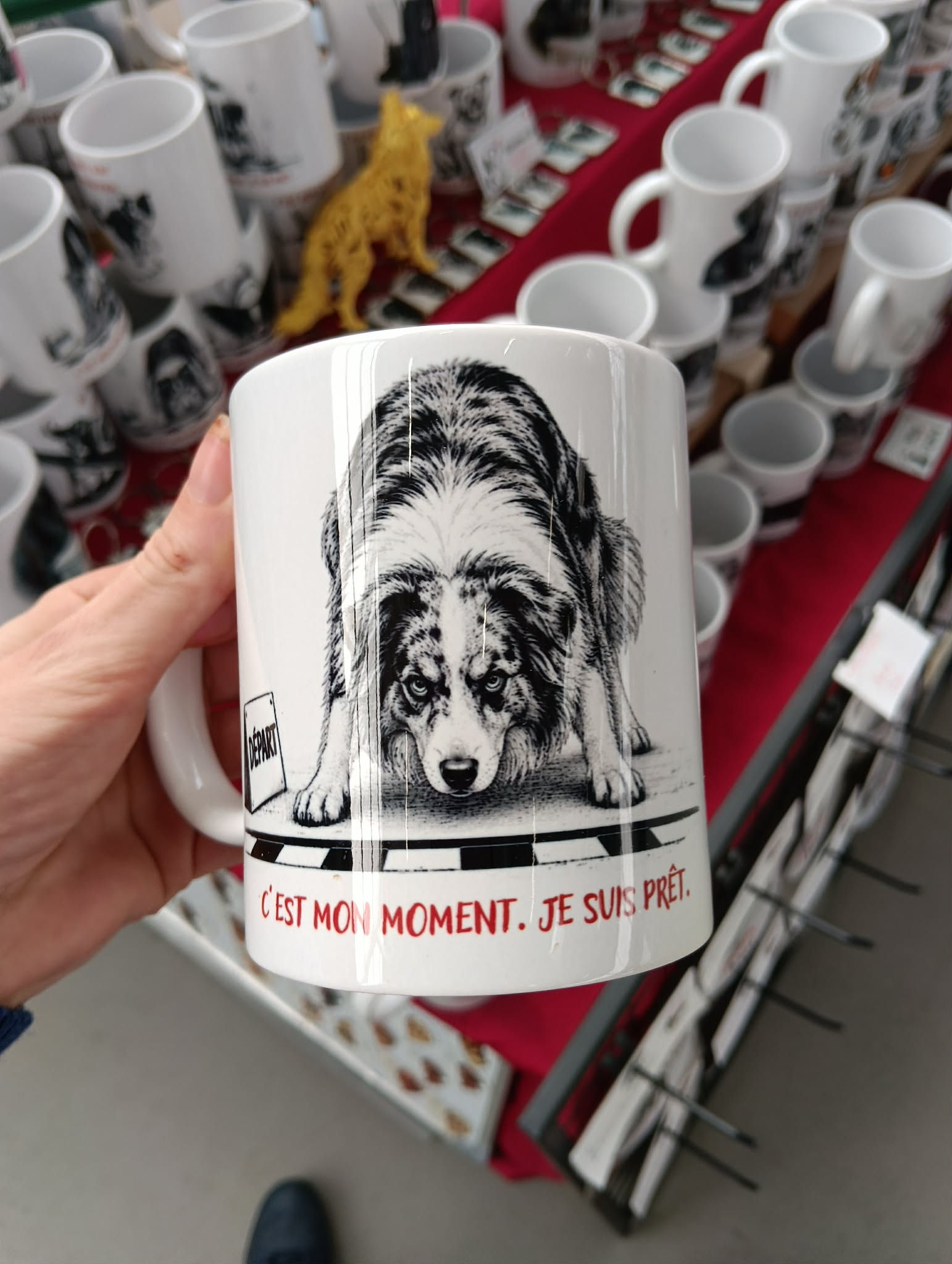 ☕ Mug Agility « C'est mon moment. Je suis prêt. » – Berger Australien