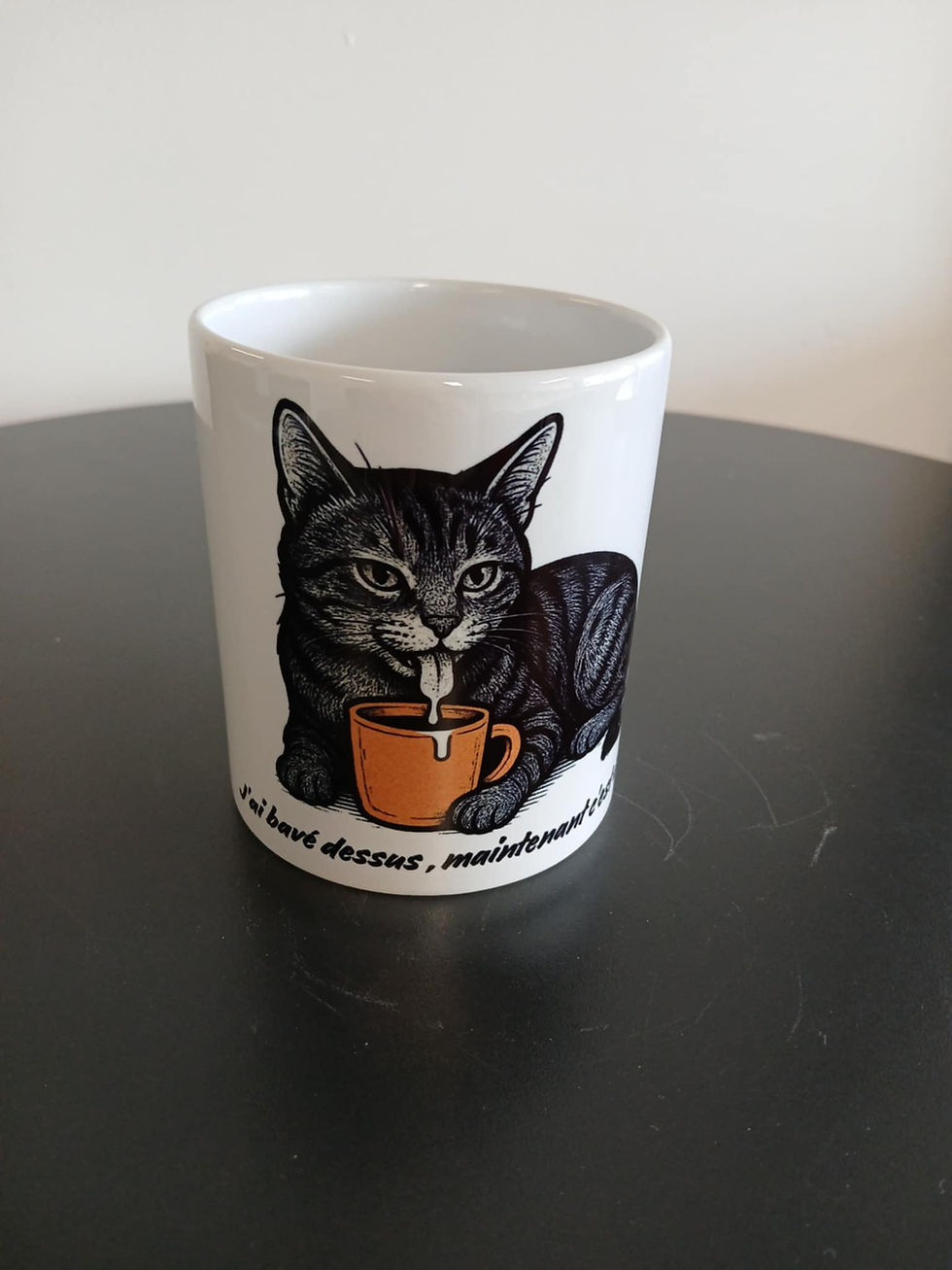 Miniature : J’ai bavé dessus, maintenant c’est à moi" – Chat tigré