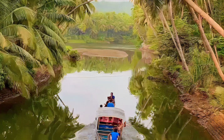 Winding paths of the mangrove forests by boat, discovering the wonders of nature in every turn.