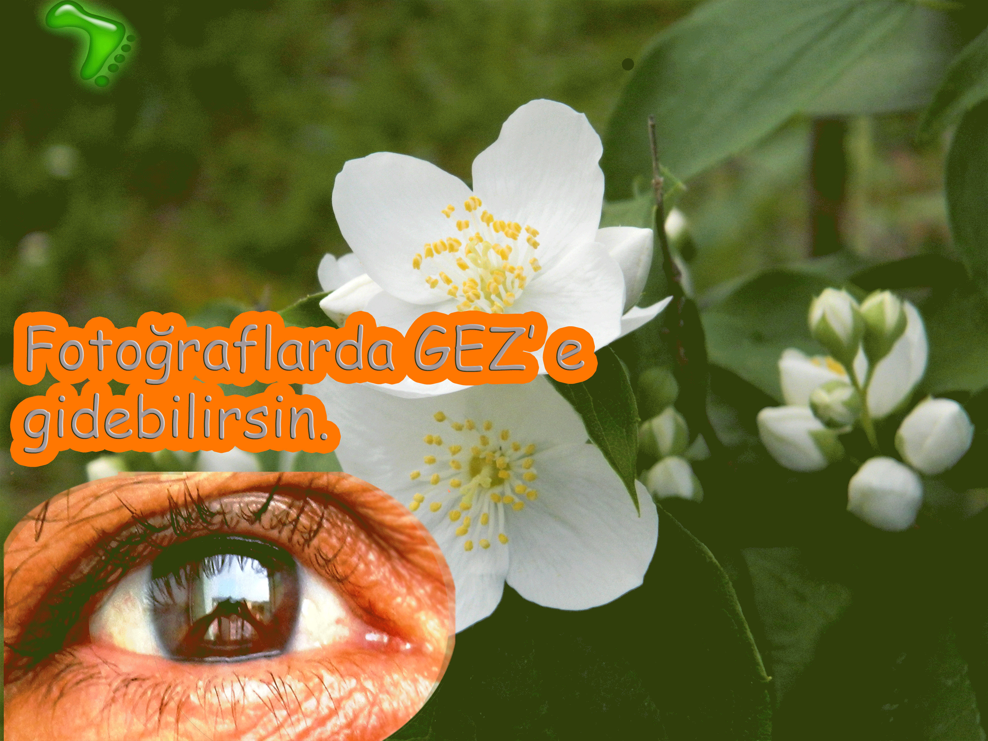 Fotoğraflarda-GEZ.gif