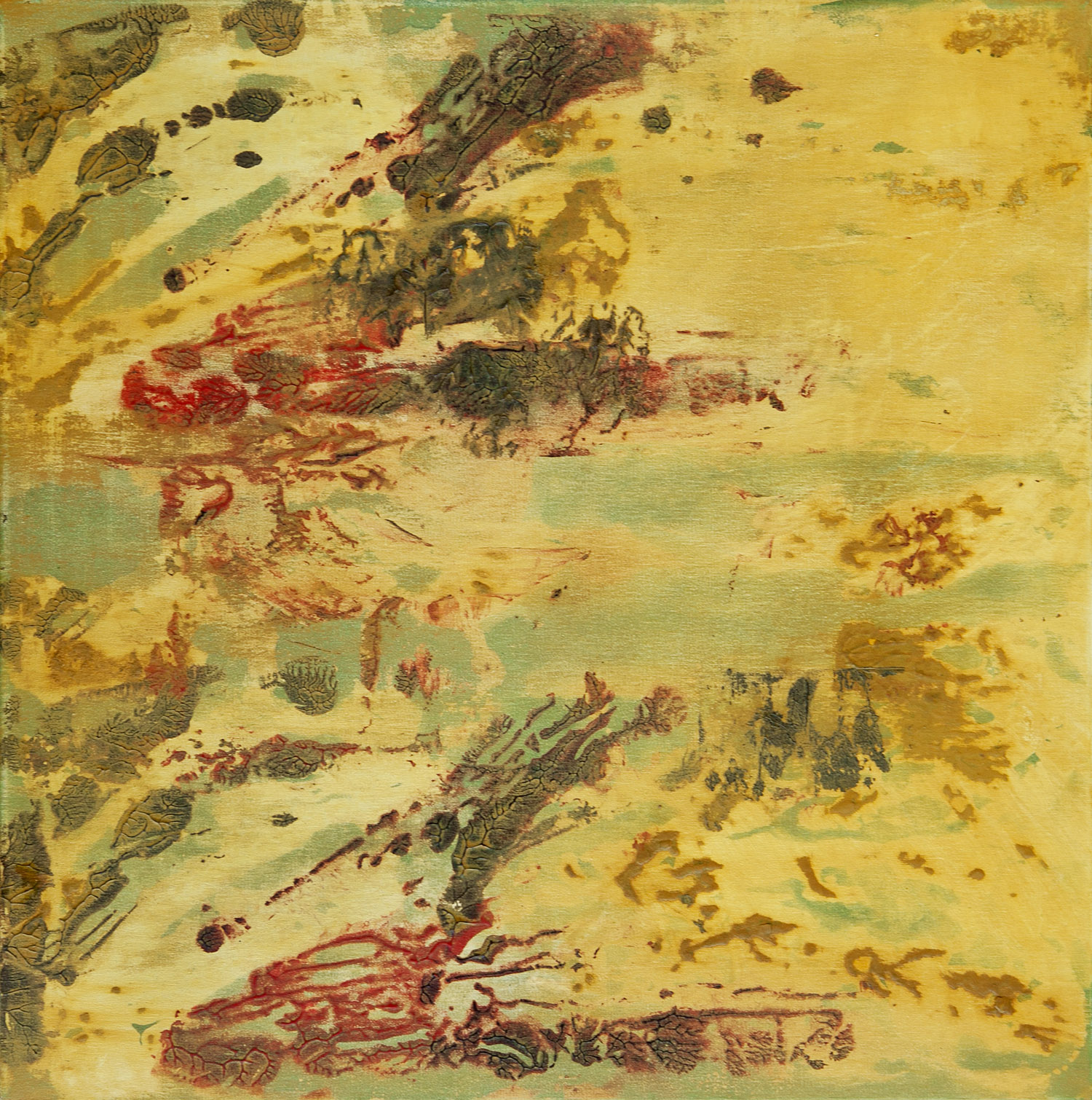 Salicornias, acrilico sobre lienzo, 50x50cm, 2014.jpg