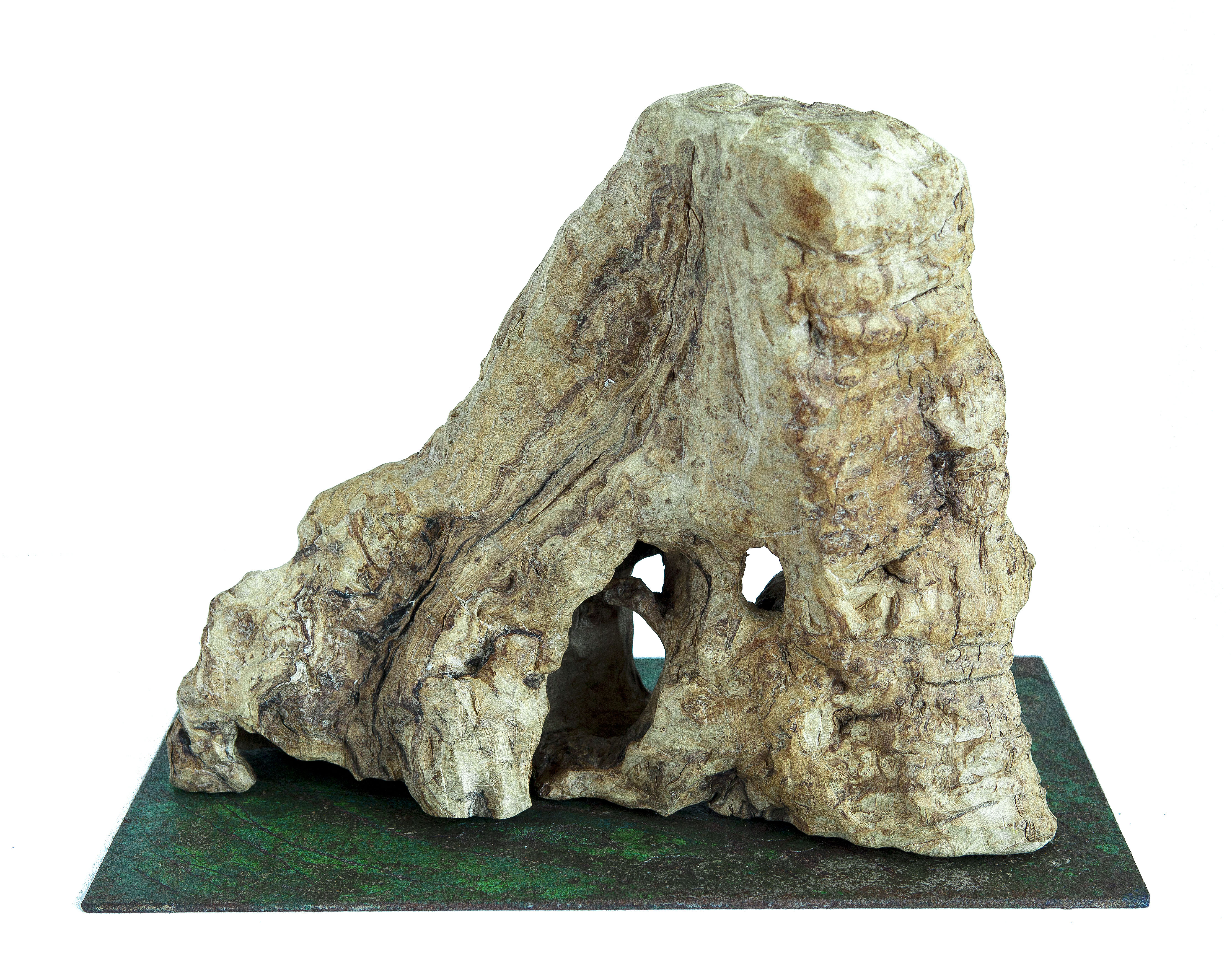 Punta Rasa, madera, 22x30x12cm, 2019