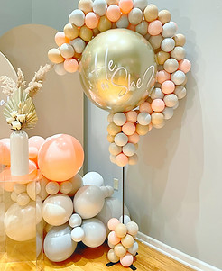 Main-Gender Reveal.jpeg