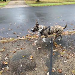 IMG_8503_edited