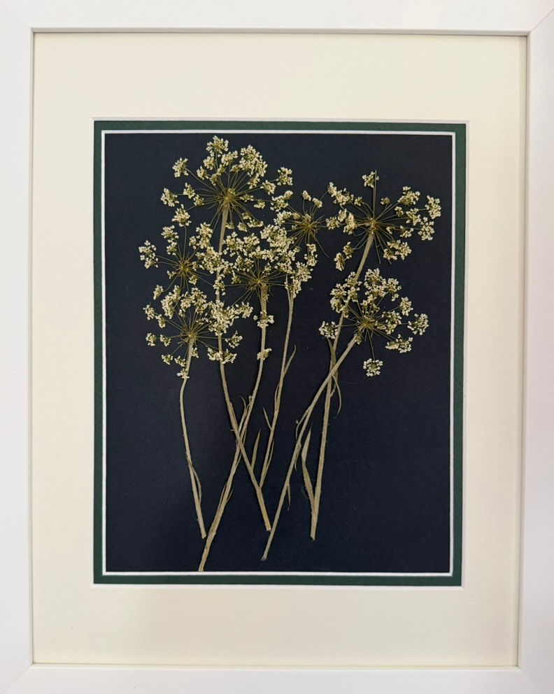 Tall Stems