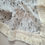 Thumbnail: Design Cotton Tassel Blanket