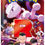 Miniatura: Pokémon Card Game Scarlet & Violet Expansion Pack Glory of Team Rocket Box (30)
