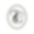 Logo Le Comptoir.png