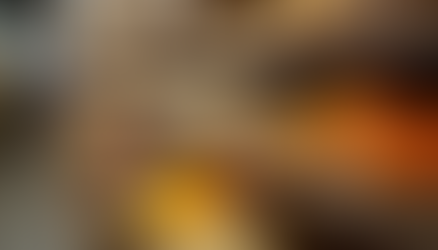 Finding Online Indian Grocery Stores: Authentic Indian Groceries at Affordable Prices with Free Home Delivery Across Netherlands