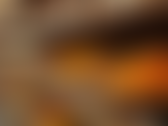 Authentic Indian Groceries at Affordable Prices with Free Delivery Across the Netherlands