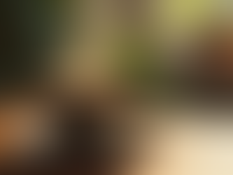 Top Indian Tea Brands for Authentic Taste