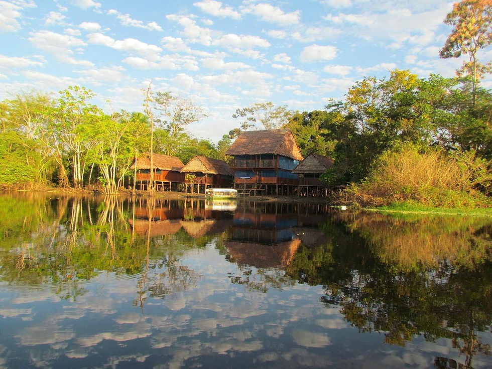 A luxury eco-lodge private suite nestled in the lush green canopy of the Peruvian Amazon jungle.