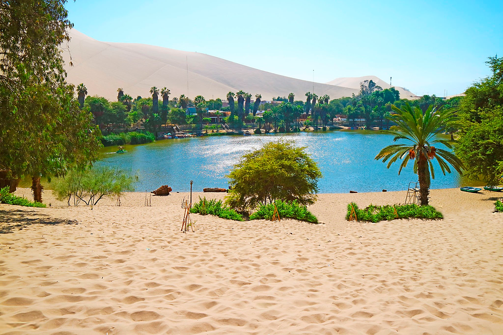 istockphoto-2256611735-2048x2048.png