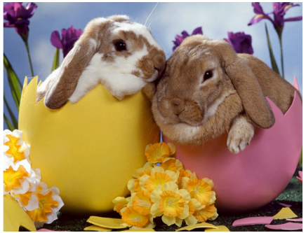 Träningstider för påsken -26