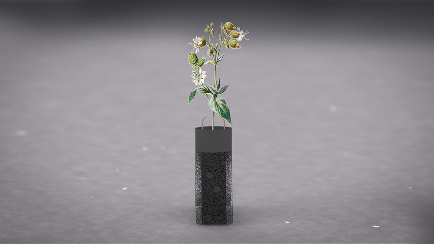 Design de produit, R&D, Valorisation de déchets, Eco-conception, économie circulaire.