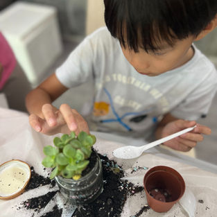 Terrarium Workshop Party in Singapore