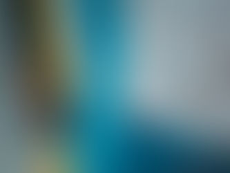 Merchant Treasury Services