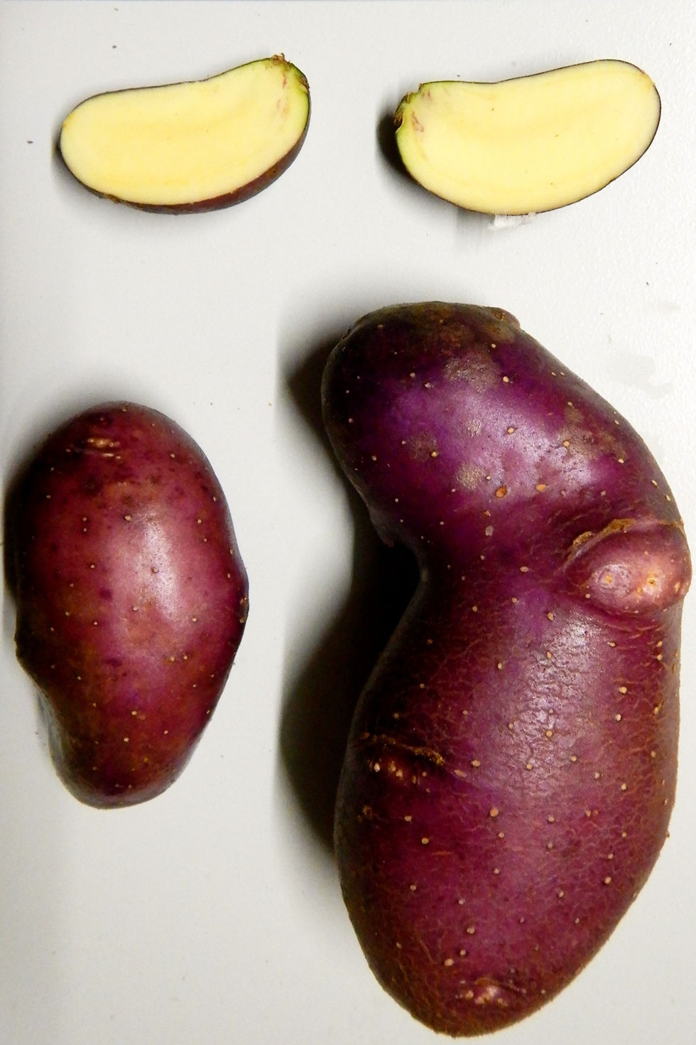 colorful patatoe